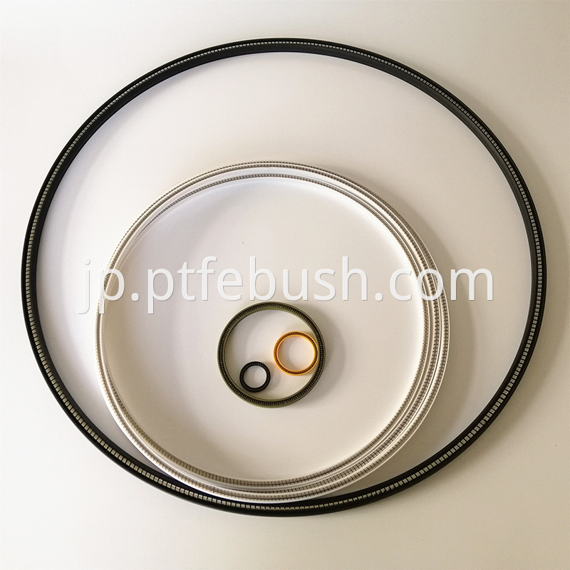 Spring Energized Seal 5